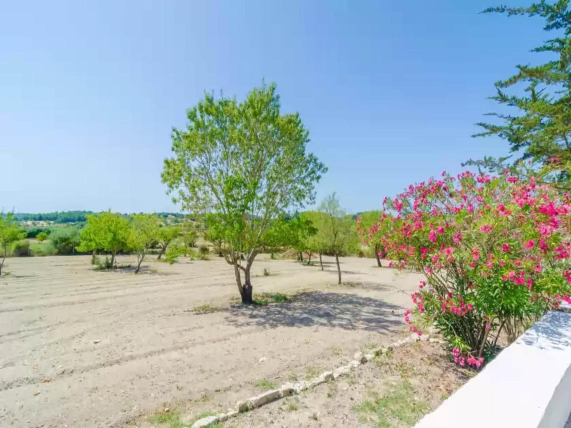 Sa Rota Den Joan Porrerenc - Villa Montuïri